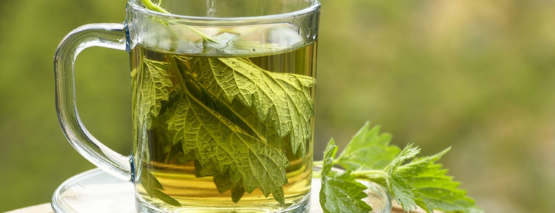 NETTLE HEALTH DRINK 50G